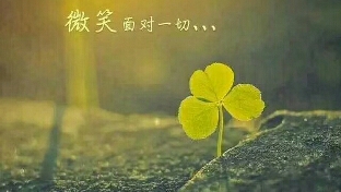与我们息息相关的生活中的11条定律