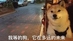 我对TA很好为什么就是不喜欢我？今天就黎明告诉你到底怎么办！【恋爱长文干货No.1】