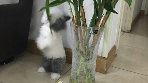 这么在意别人的看法，你一定很累吧丨心理