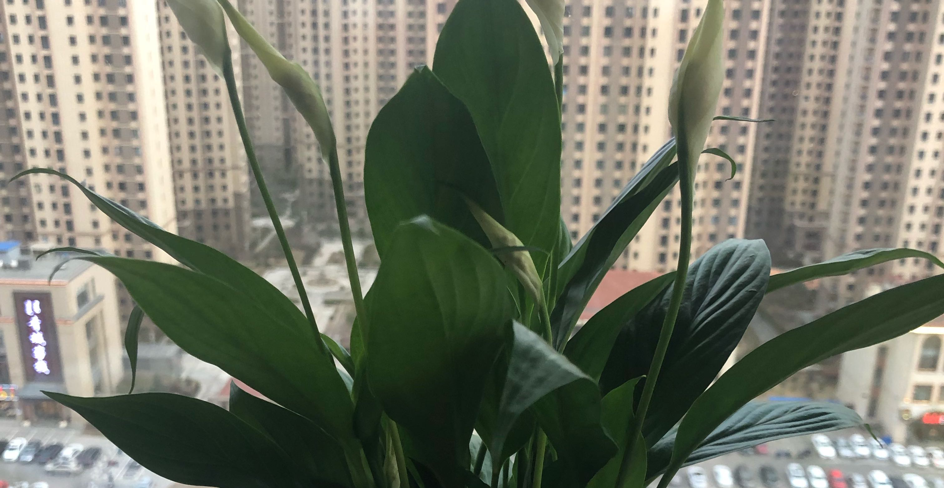女人的对话里，藏着多少嫉妒