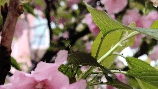 自我抚慰的能力