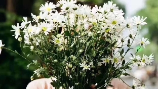 挽回过程中断联的重要性