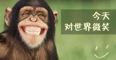 你追求的不是你想要的