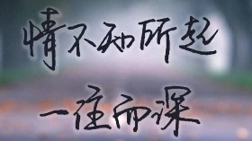 照妖镜