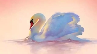 无微不至的伤害