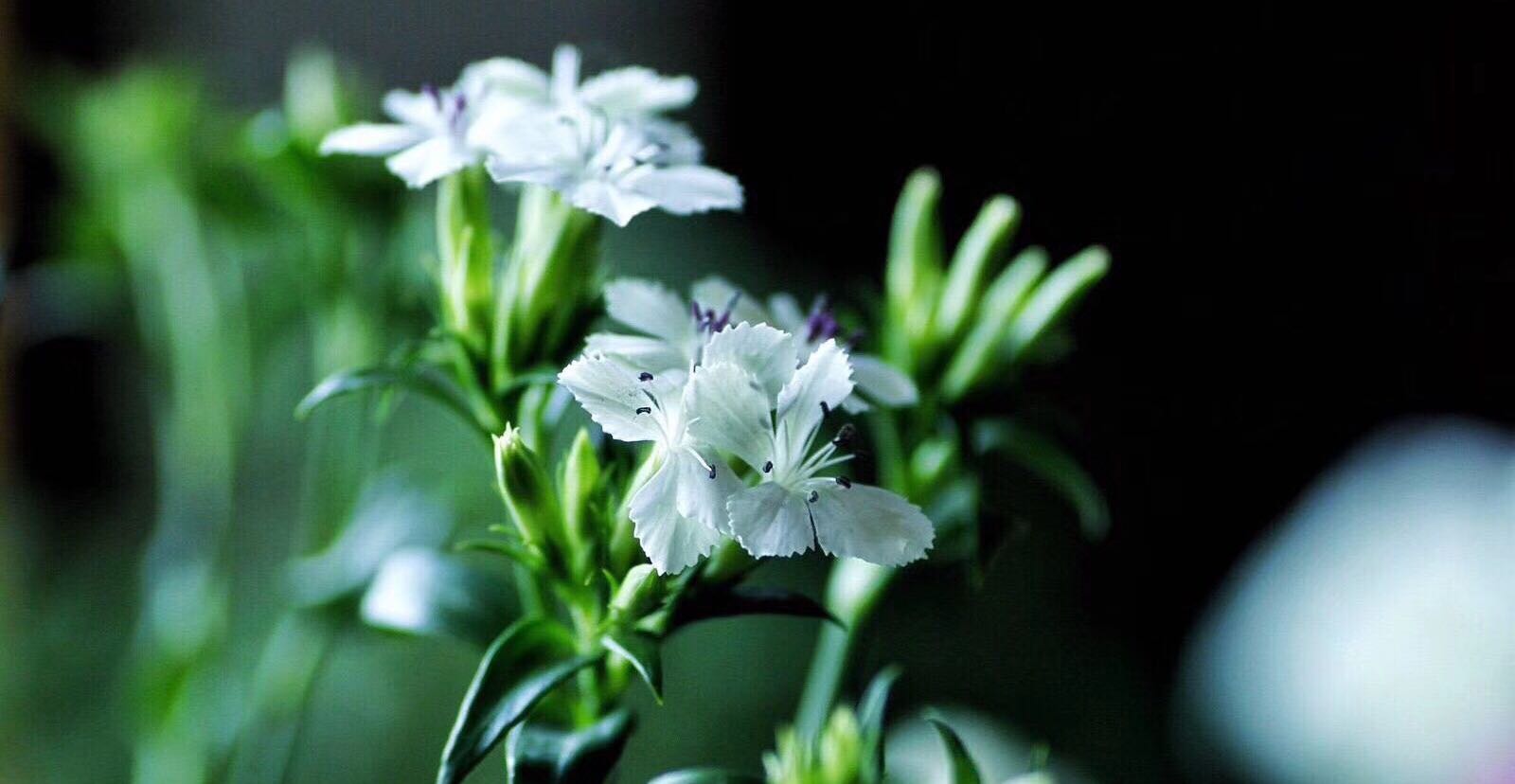 《老公，你多大？》