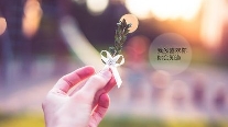 他为什么那么计较