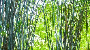 接纳也是一种爱