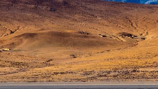 色彩能量的身心疗愈作用-金色