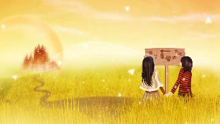婚姻常见问题二