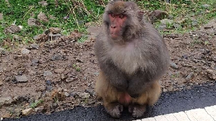 为何夫妻走到最后都是相看两厌？
