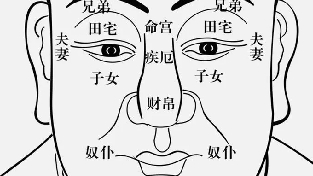 脸型于运势