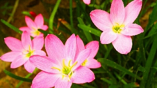 现代人要身心健康~~