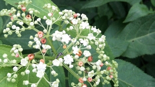 《那年花开月正圆》不同款男生