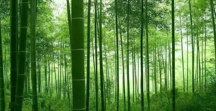 情感虐待