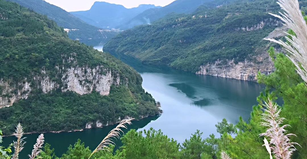 如何破除坏习惯