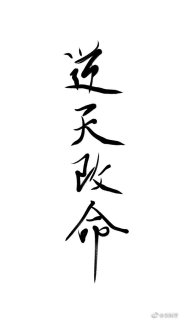 小姐姐的故事