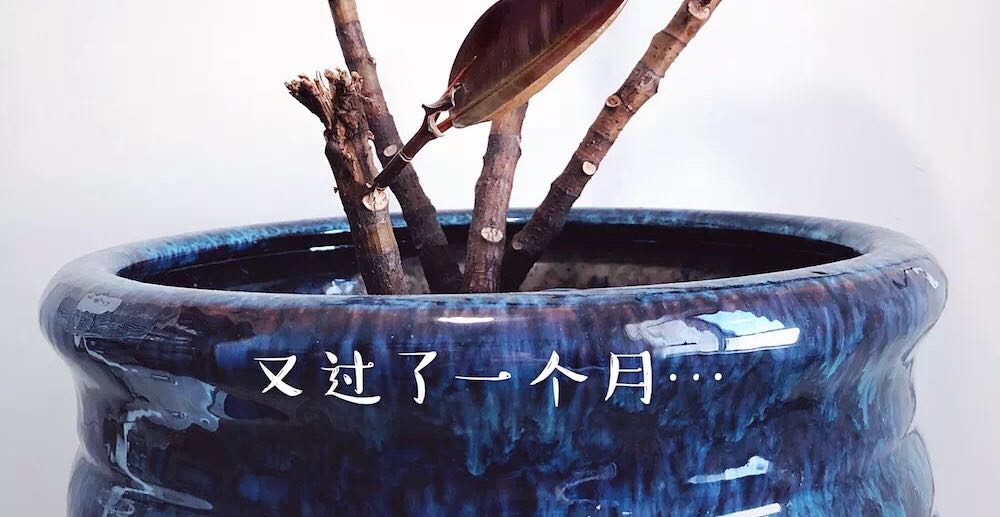 疏导不良情绪的五个方法
