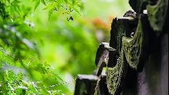 僵尸在你心