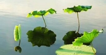 做个善良的陌生人