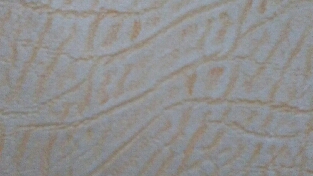 你是外向型的内向人吗？