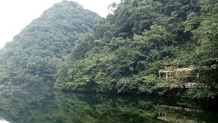 用积极关注稳固倾诉者与倾听者的关系桥梁（一）