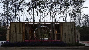 抑郁，静养还是运动