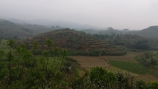 廿四山安葬吉日良辰异象