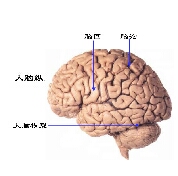 NLP12条前提假设(之2)