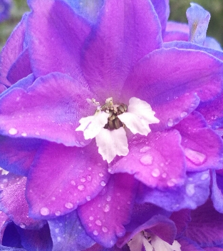 怎样亲子关系才是好的呢？