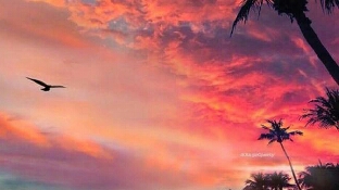 儿子与王者游戏