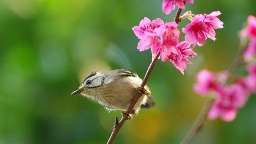 世界七大心理学效应