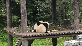 真挚的友谊