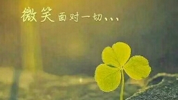 你不需要那么努力，只要不辜负自己