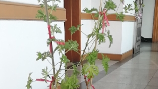 当孩子…  …