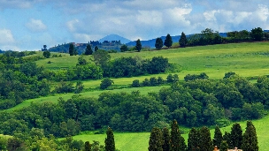 心理知识：强迫型人格障碍