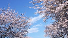 赢得成功前 你要首先学会这个…