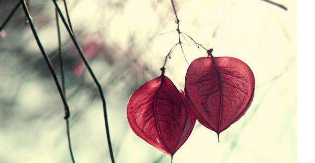 与其自怨自艾，不如勤奋努力。