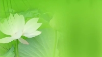 遇到情绪压力怎么办？