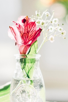 永远不要相信男人说，“你告诉我吧，我不会生气的”