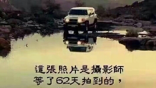 谁给我一世纵容