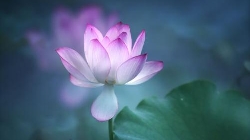 是什么决定着我们的幸福？