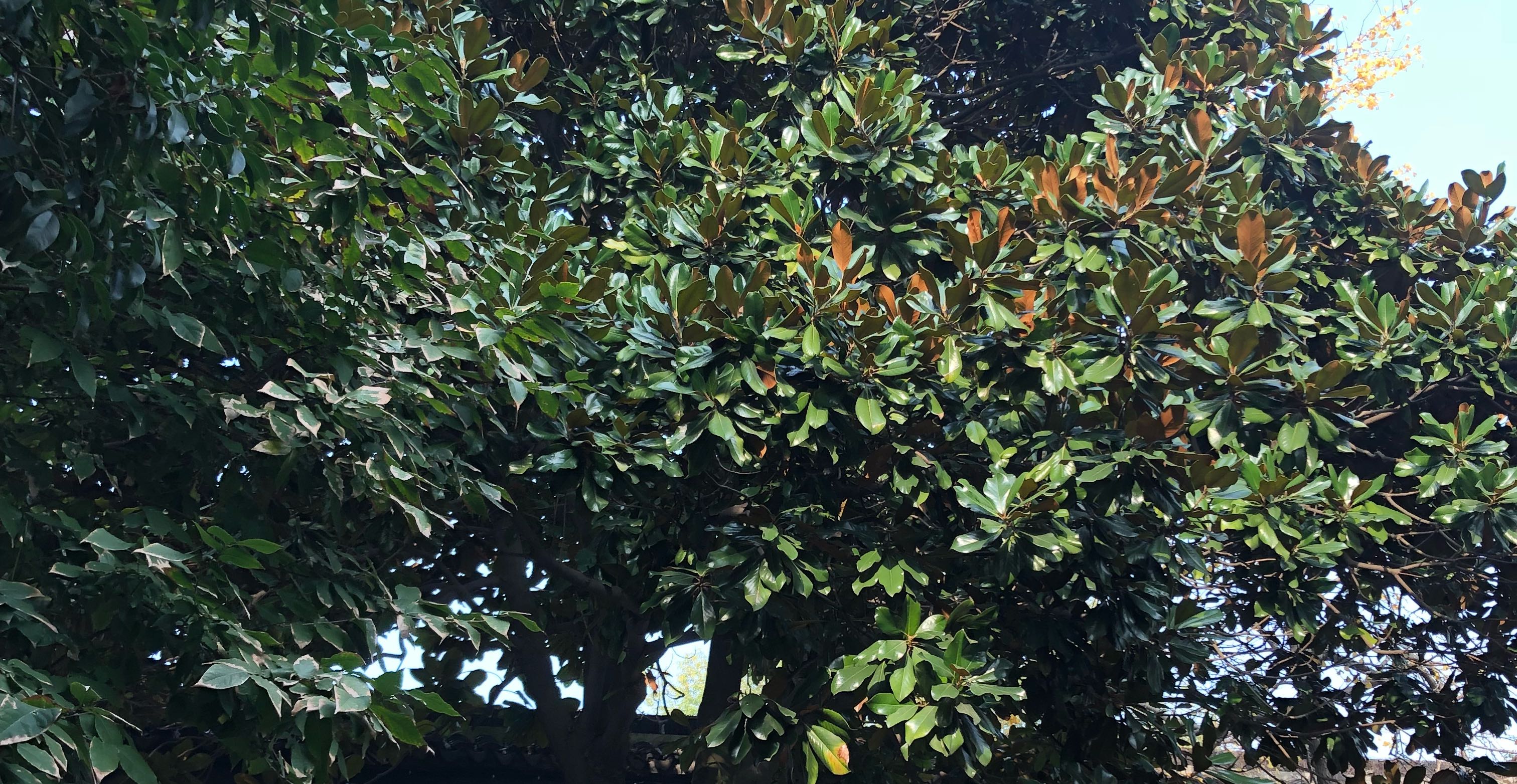 随笔【认知】