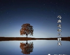 问题孩子，一定出在问题家庭