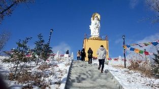 白露阳运养生