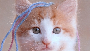 沉睡中的大学生，你不失业，天理难容