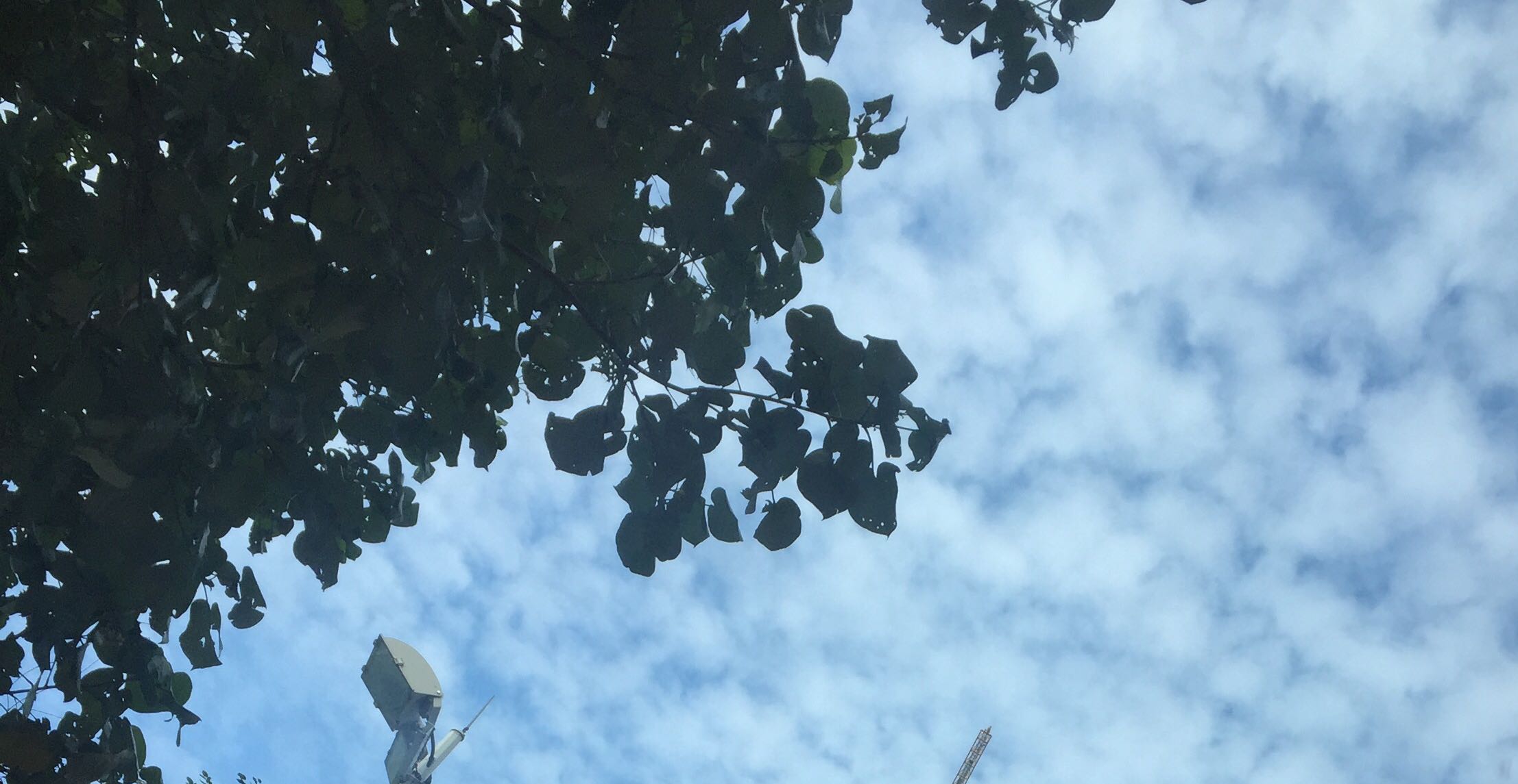 让男人彻底崇拜的女人