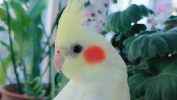 分手了如何挽回