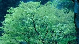 婆媳相处之道，暖心好多人