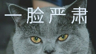 愿有一人懂你心里的苦